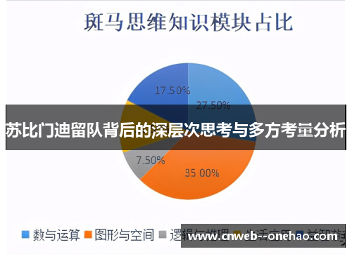 苏比门迪留队背后的深层次思考与多方考量分析