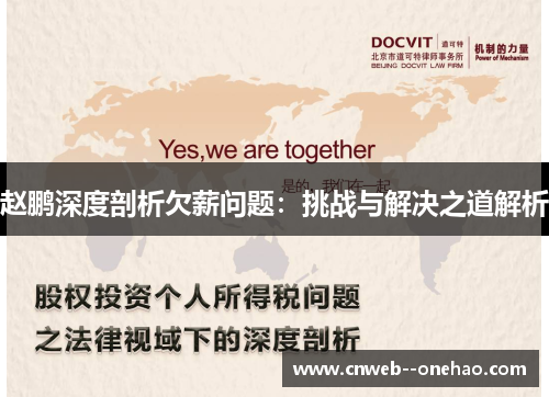 赵鹏深度剖析欠薪问题：挑战与解决之道解析