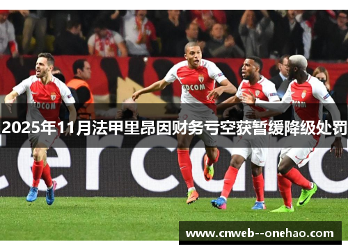 2025年11月法甲里昂因财务亏空获暂缓降级处罚