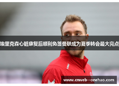 埃里克森心脏康复后顺利免签曼联成为夏季转会最大亮点