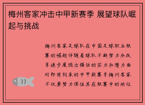 梅州客家冲击中甲新赛季 展望球队崛起与挑战